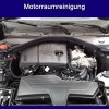 Motorraumreinigung